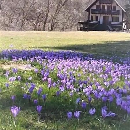 Casa De Vacanta Satic Piatra Craiului La Doi Viermi 外观 照片