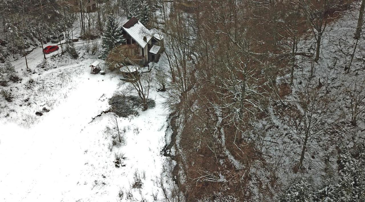 Casa De Vacanta Satic Piatra Craiului La Doi Viermi 外观 照片