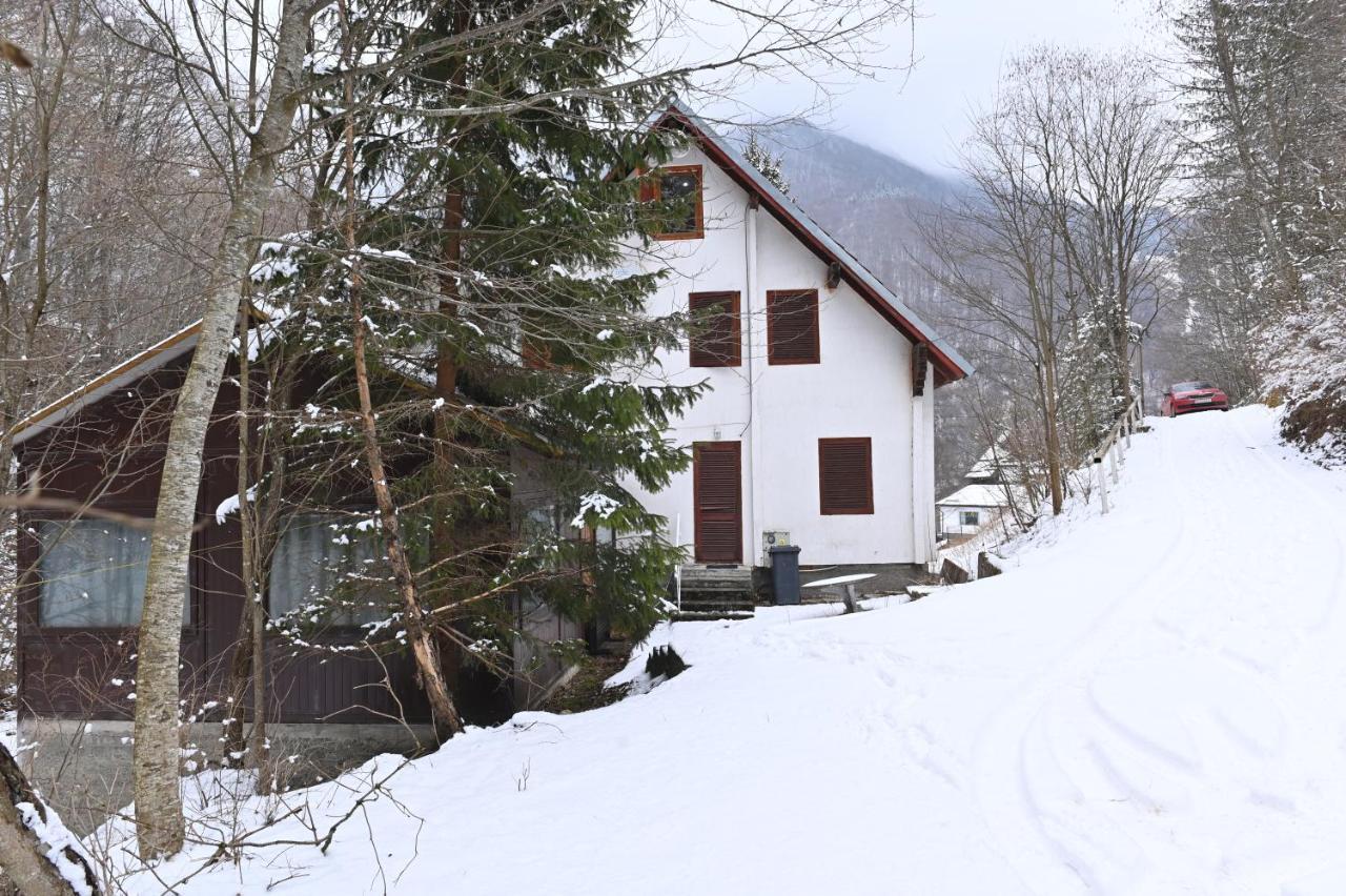 Casa De Vacanta Satic Piatra Craiului La Doi Viermi 外观 照片