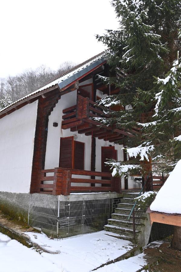 Casa De Vacanta Satic Piatra Craiului La Doi Viermi 外观 照片
