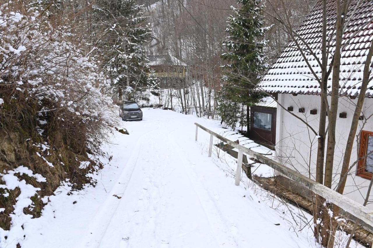 Casa De Vacanta Satic Piatra Craiului La Doi Viermi 外观 照片