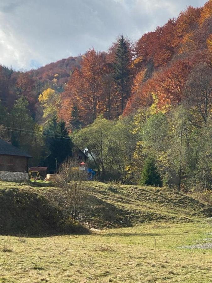 Casa De Vacanta Satic Piatra Craiului La Doi Viermi 外观 照片