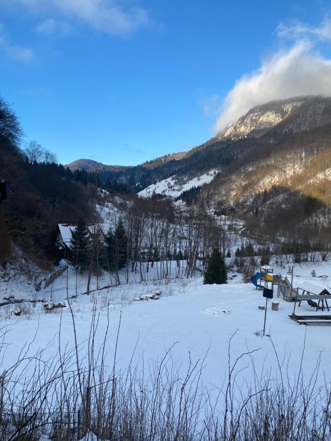 Casa De Vacanta Satic Piatra Craiului La Doi Viermi 外观 照片