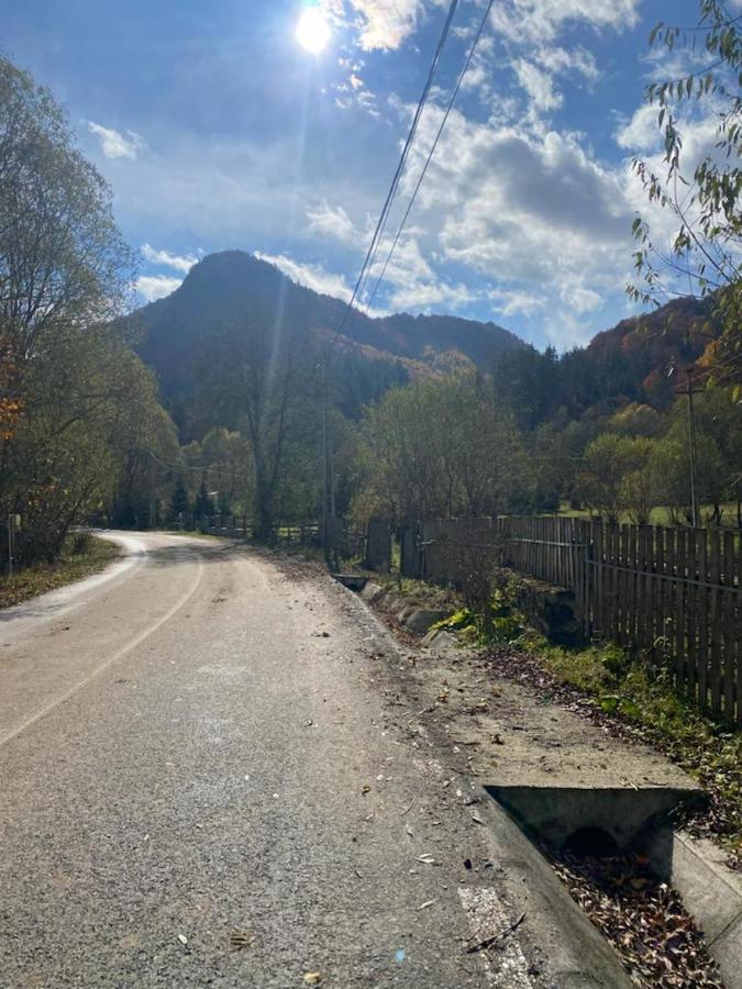 Casa De Vacanta Satic Piatra Craiului La Doi Viermi 外观 照片
