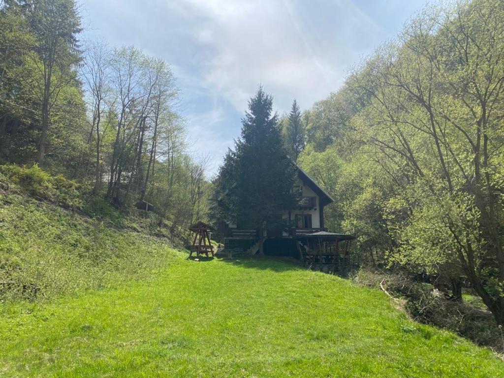 Casa De Vacanta Satic Piatra Craiului La Doi Viermi 外观 照片