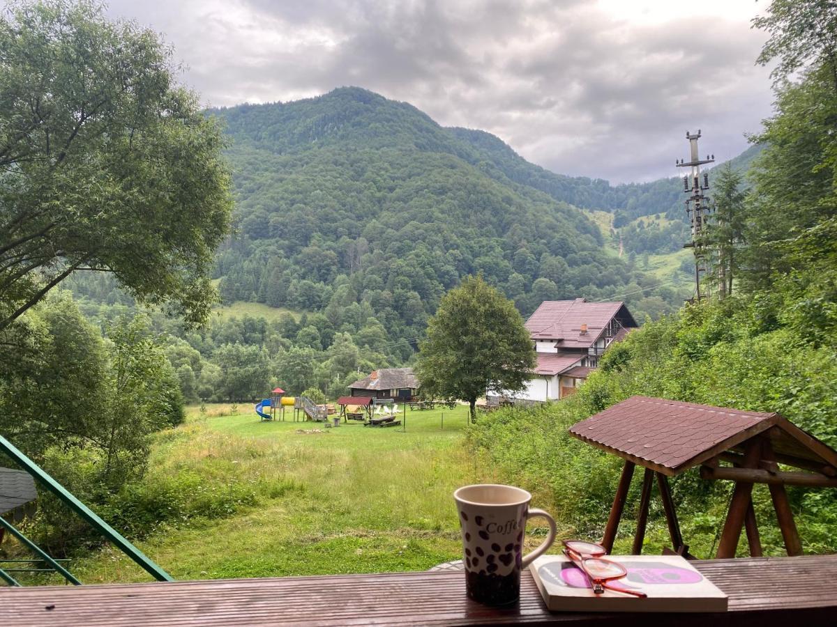 Casa De Vacanta Satic Piatra Craiului La Doi Viermi 外观 照片