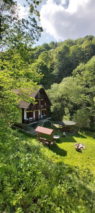 Casa De Vacanta Satic Piatra Craiului La Doi Viermi 外观 照片