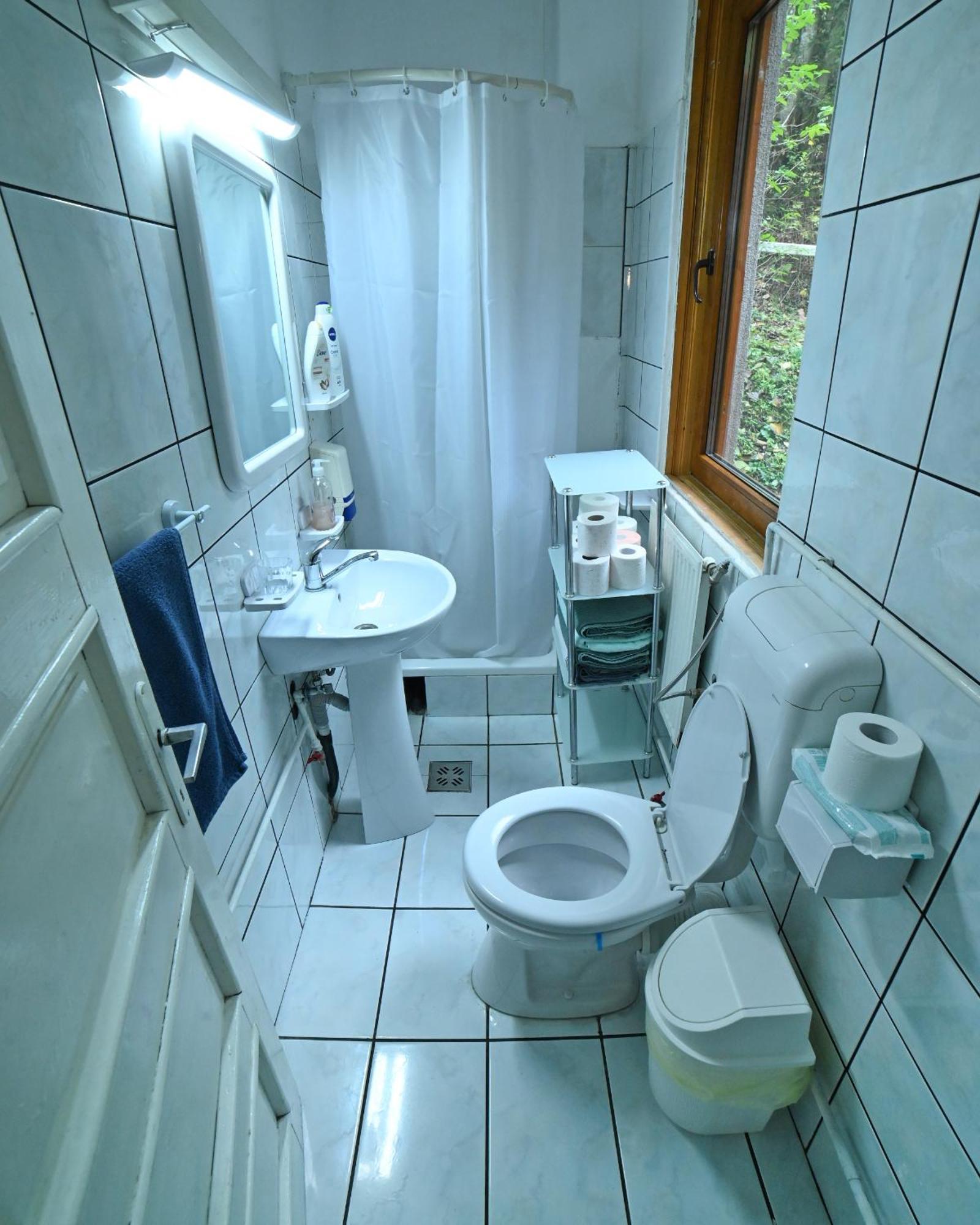 Casa De Vacanta Satic Piatra Craiului La Doi Viermi 外观 照片